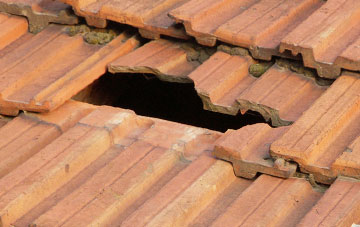 roof repair Newsholme